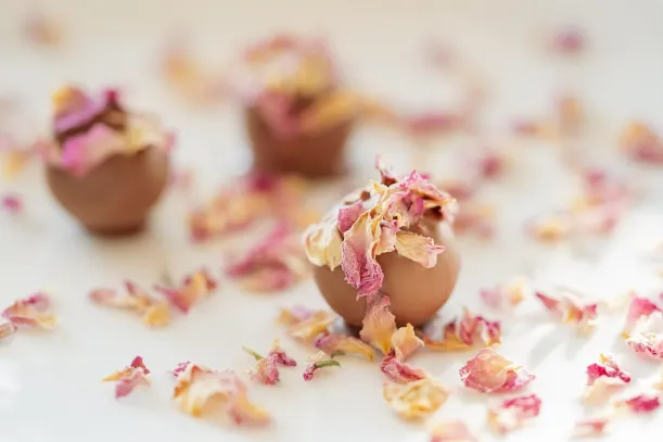 ЛотоКингс Казино Android/iOS приложение